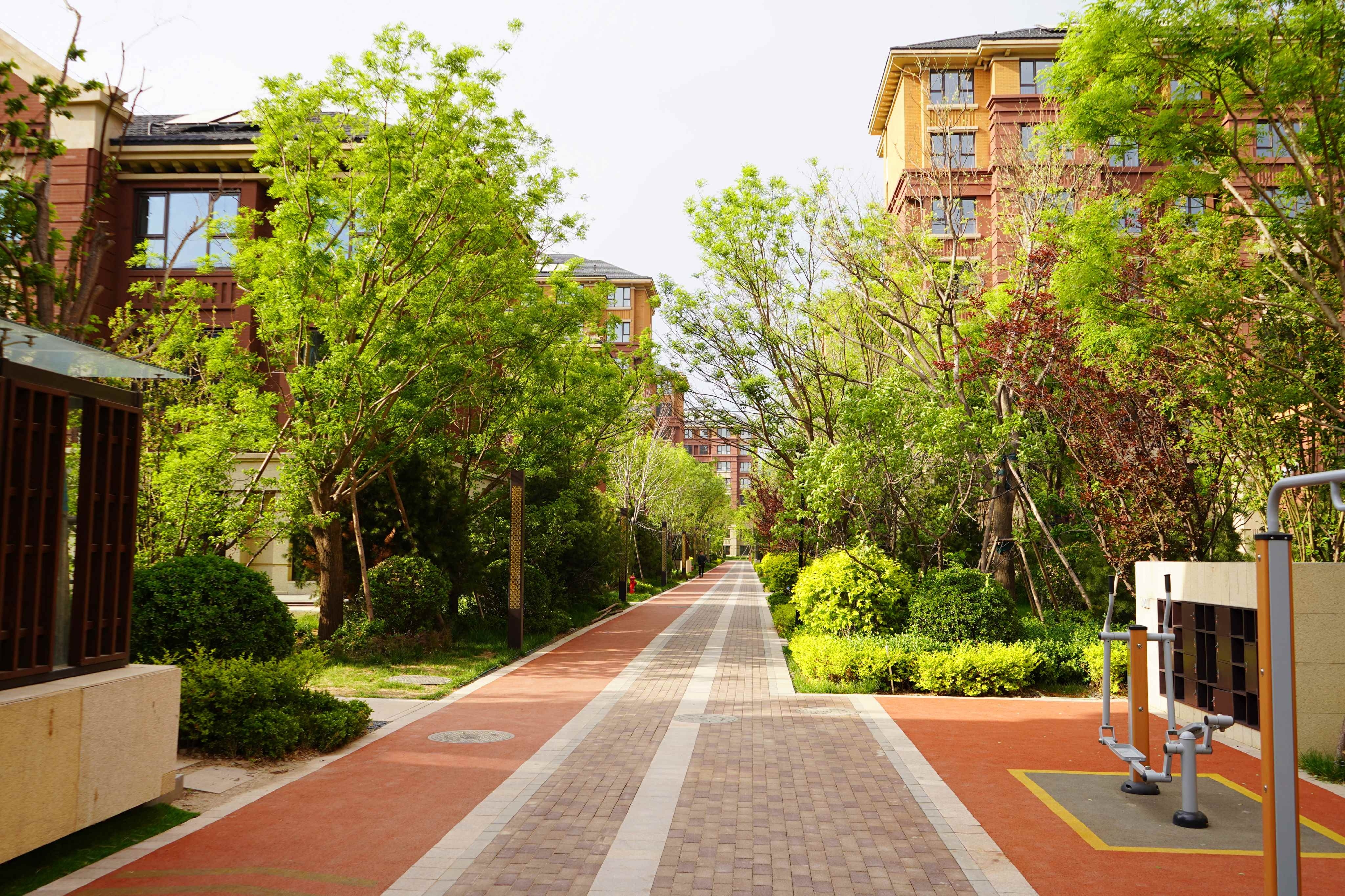 鲁能泰山7号实景图