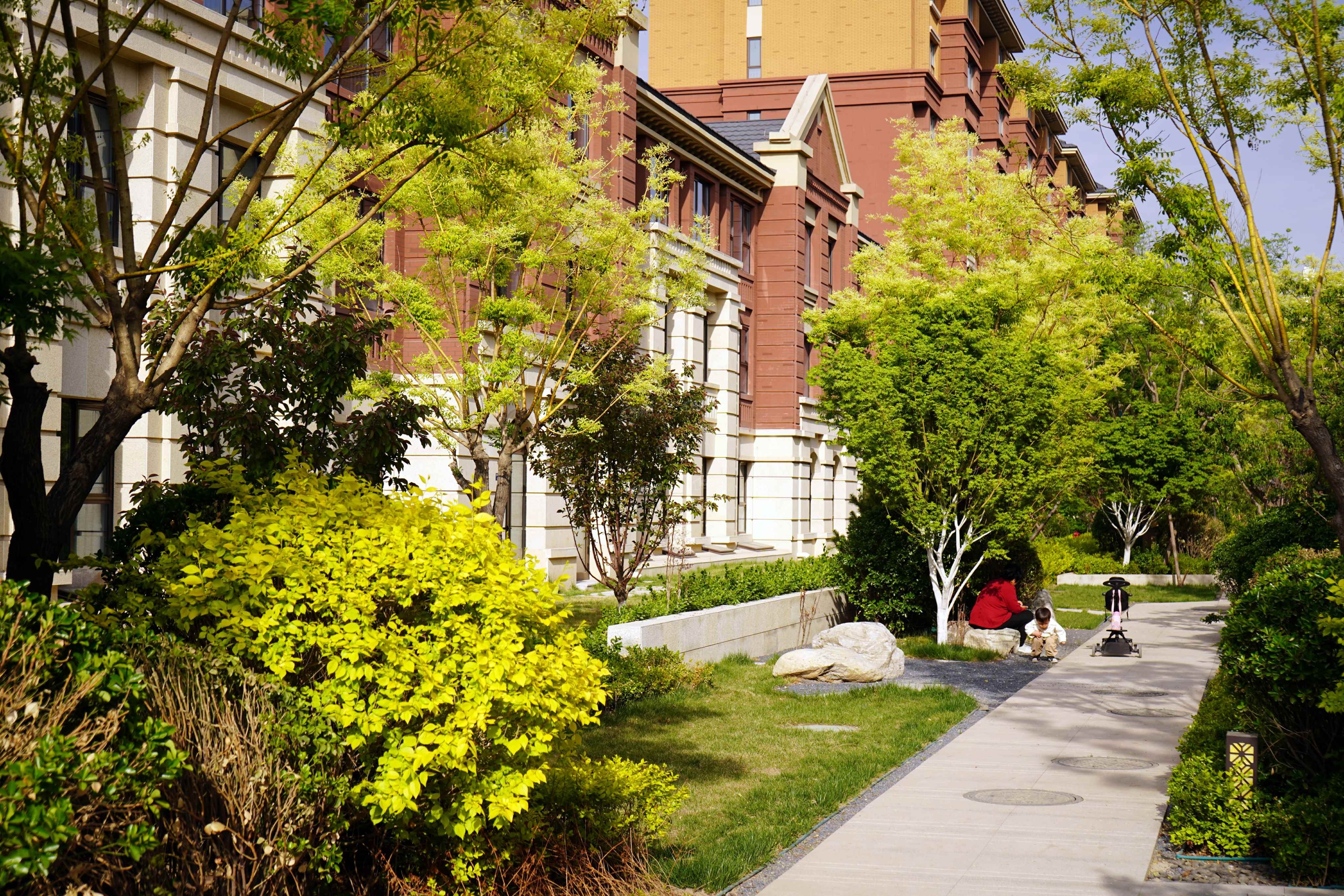 鲁能泰山7号实景图