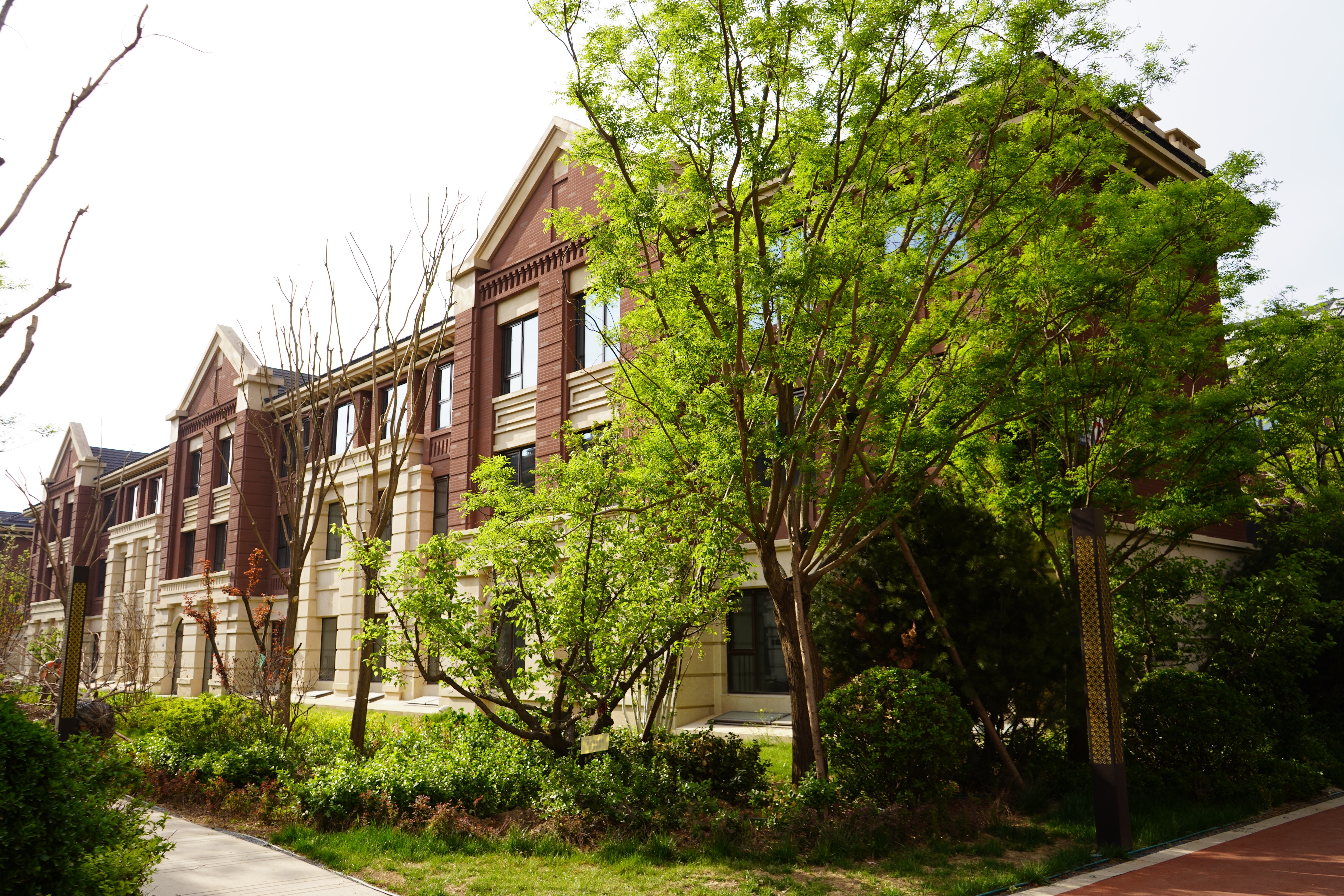 鲁能泰山7号实景图