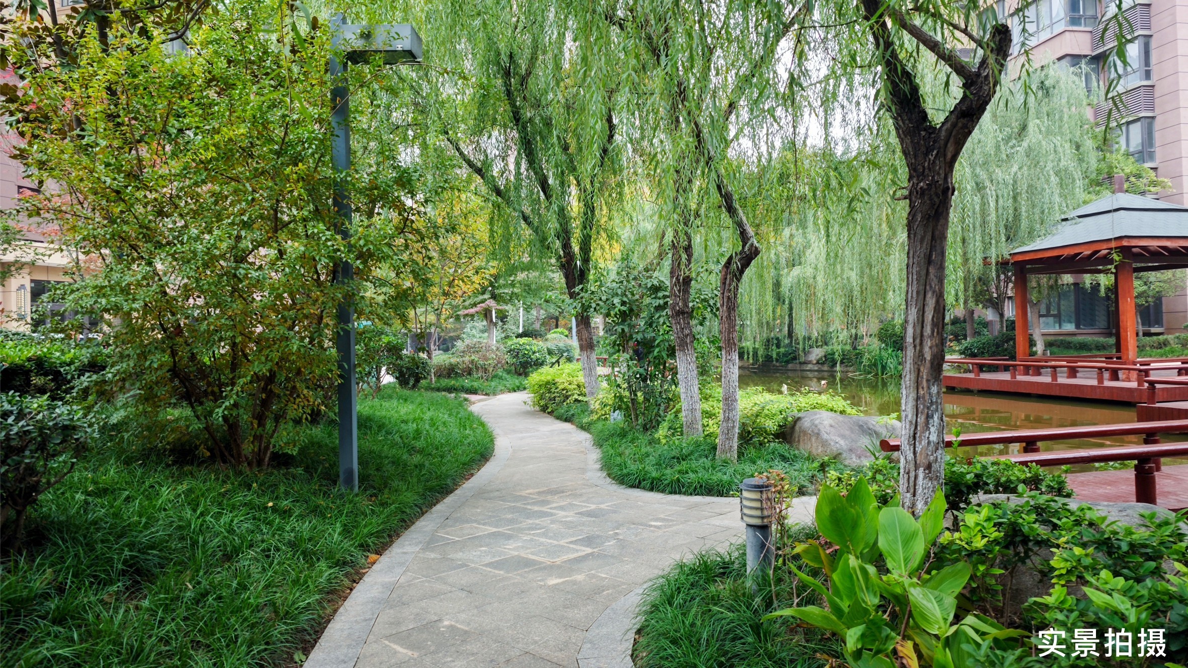 沁园春天实景图