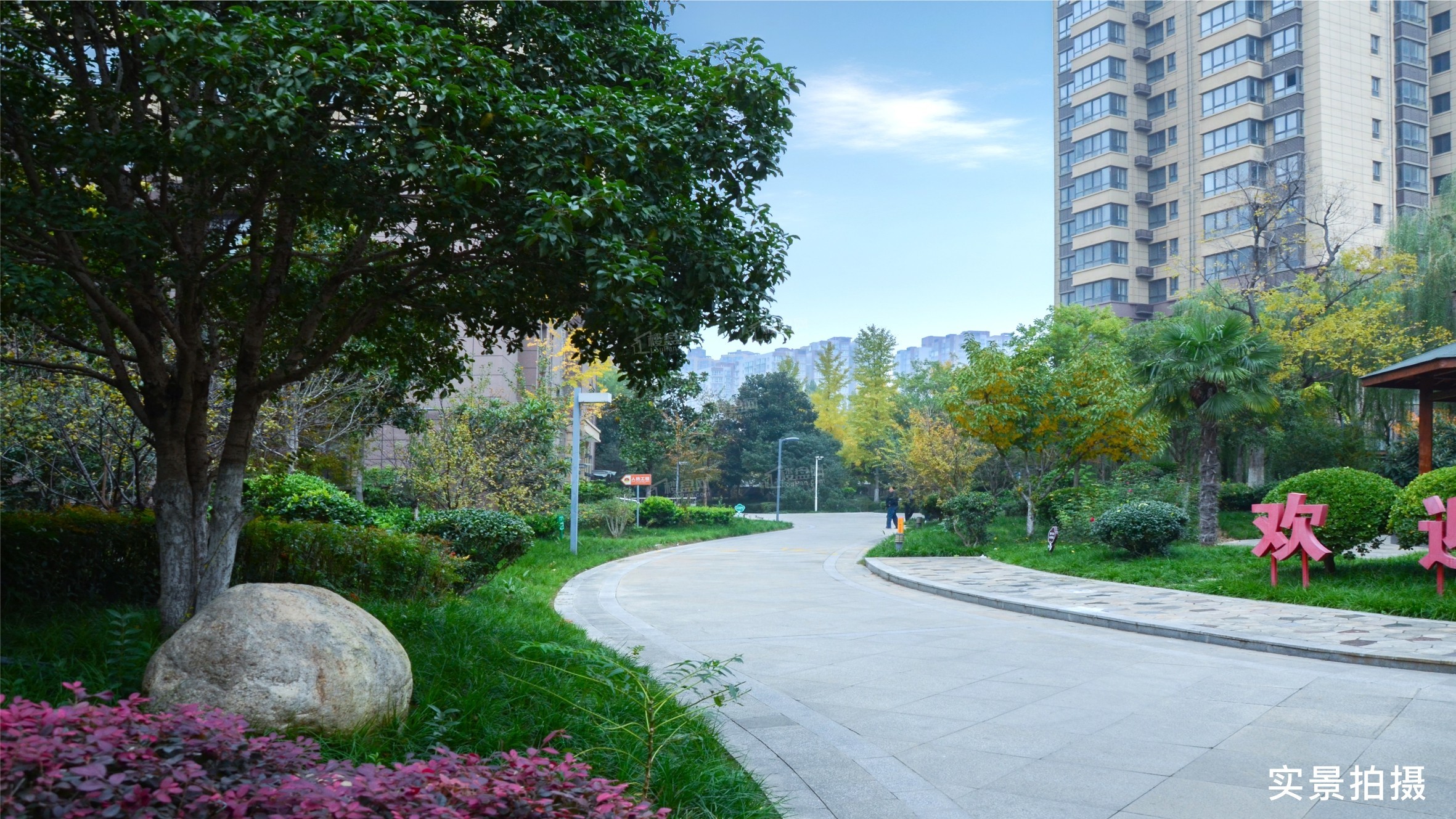 沁园春天实景图