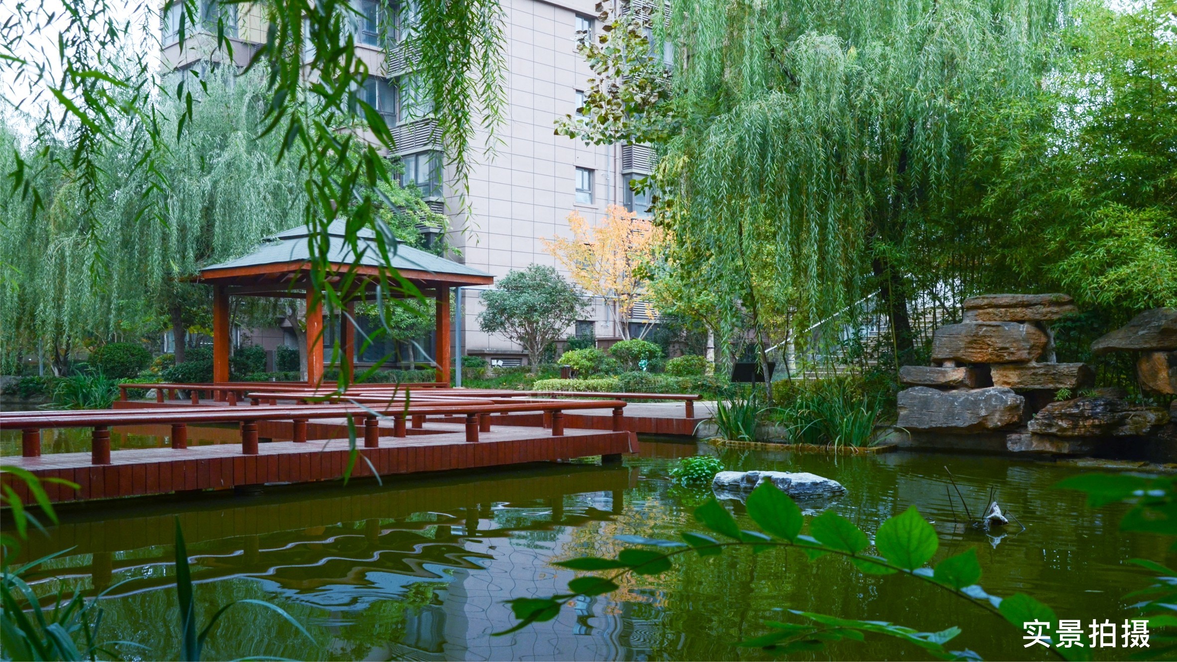 沁园春天实景图