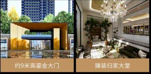 格调玖章效果图