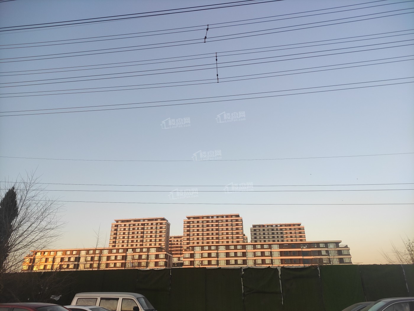 鑫丰鑫悦庭实景图