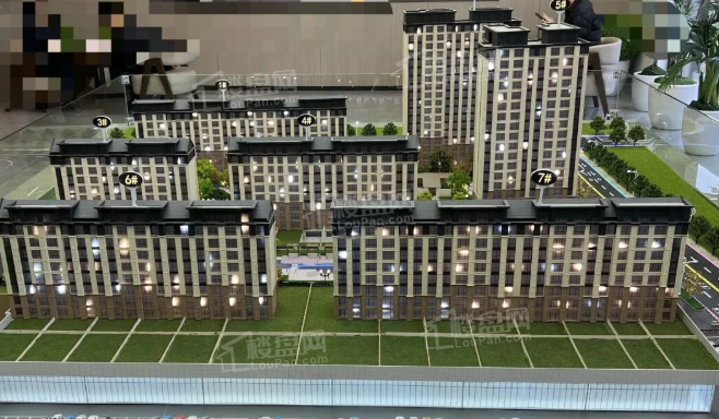 荣信森林之境实景图