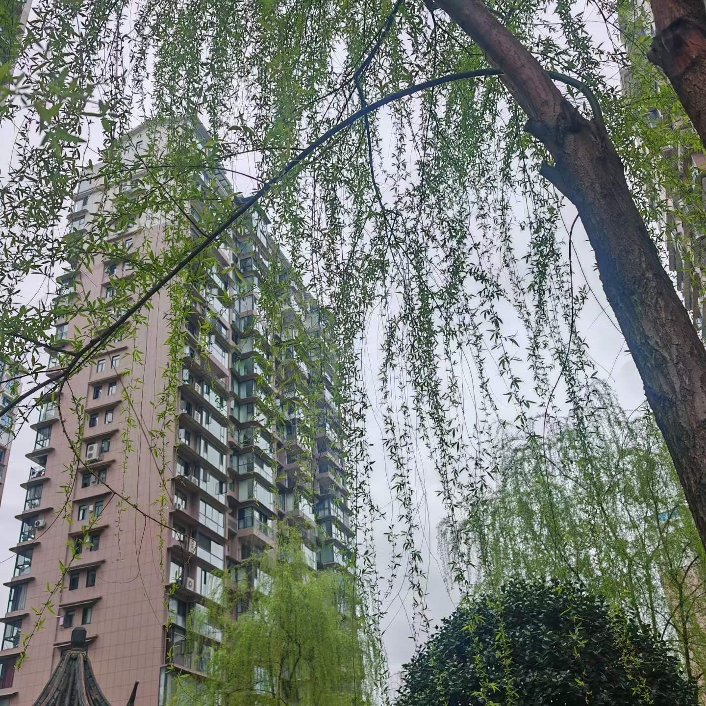 楼市动态|恩施房价降了吗？有哪些好房推荐？