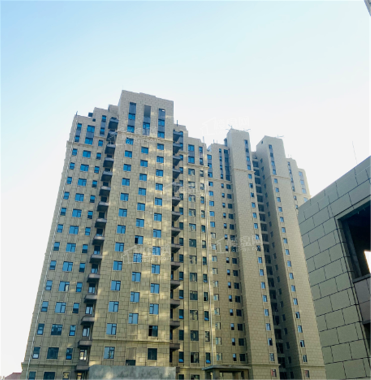 金港华府丨业主开放日活动如约启幕-日照楼盘网