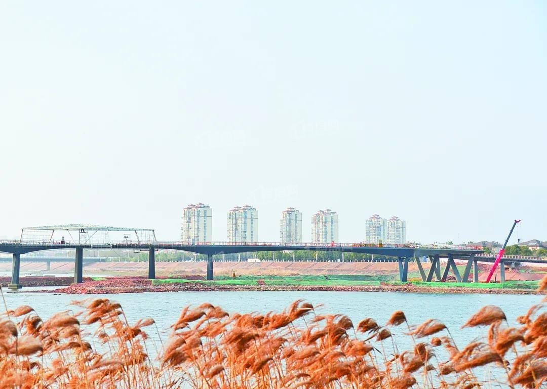 金东区中央景观桥现雏形 预计4月底可通行