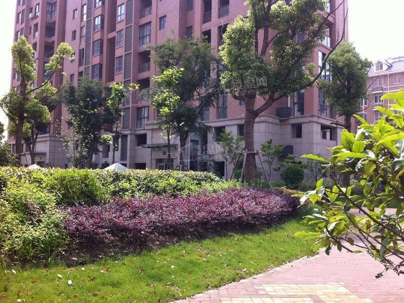 嘉阳花苑周边配套怎么样?