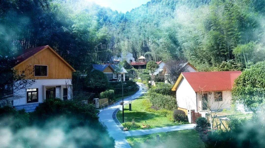 这是一座隐匿于万顷山林间的温泉小镇