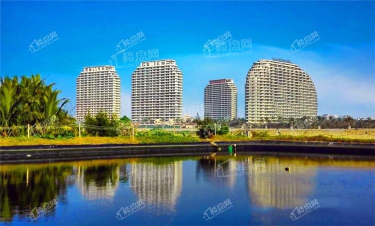 海南佰悦湾1.jpg