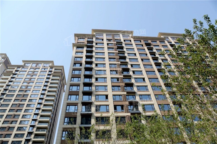 兴业盛世华府丨南区最新工程进度来啦