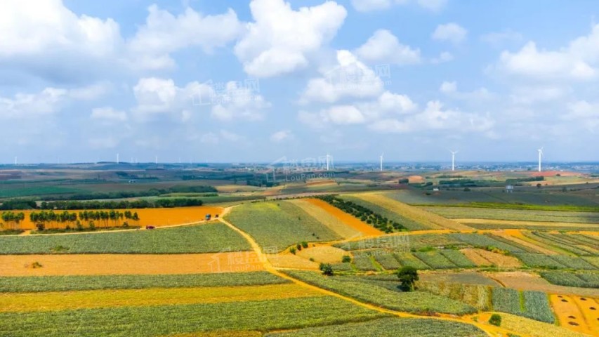 1037317368677.jpg 1037317368677.jpg