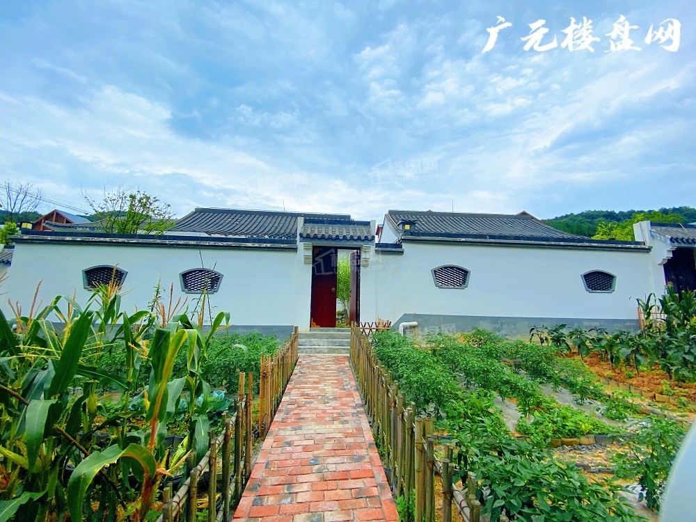 广元曾家山原乡独栋小院实景图曝光带你回归纯粹