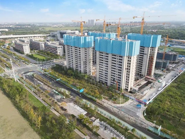 泰州金通桃李园一期喜封金顶