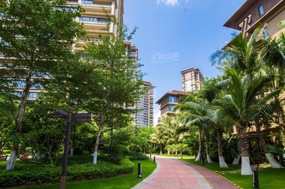 涨势已定抢占海南三亚红盘三亚房产市场什么走向