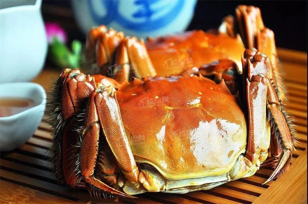 这是套圈与螃蟹的一次美好邂逅,是童趣与美食的完美结合,到访营销中心