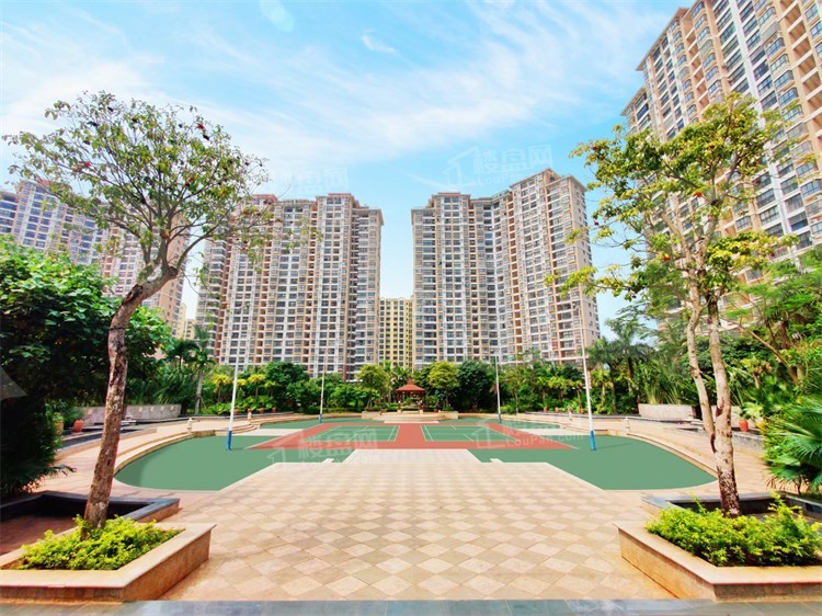 临高半岛阳光新拍现场谍照实时了解楼盘新动态