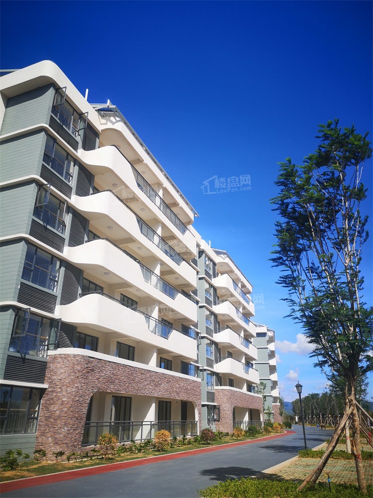 年底买房一定要看现房 佳源金月湾实景现房在售-海南楼盘网