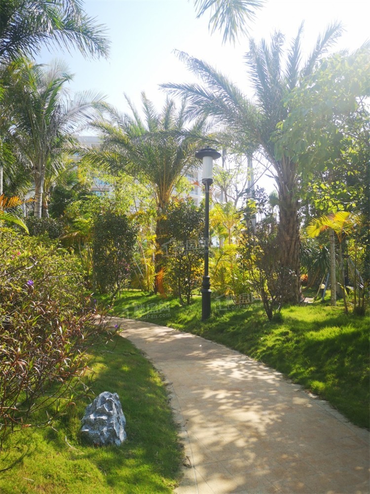 年底买房一定要看现房佳源金月湾实景现房在售