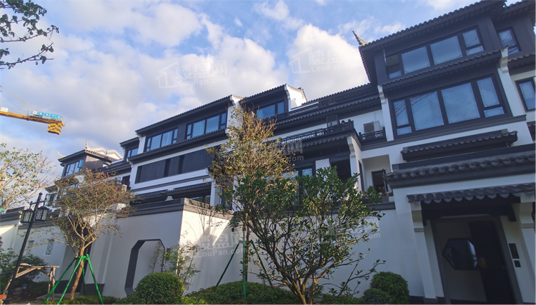 纯中式别墅区长什么样看看海口绿城桃李春风怎么样