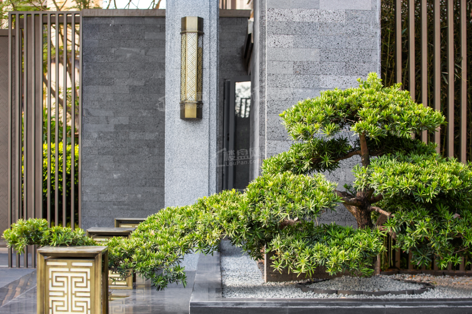 厦门世茂国风明月