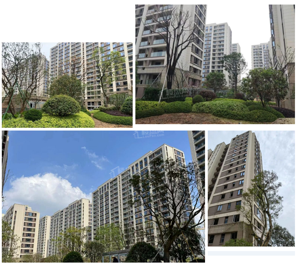恒厚新东城阳光怎么样？地铁沿线实景准现房-宁波楼盘网