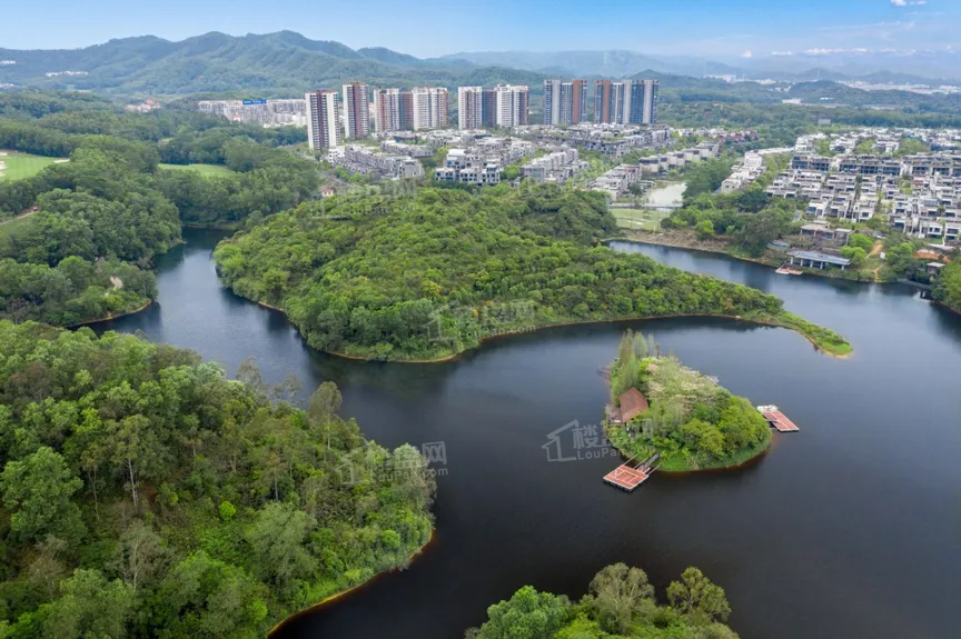 【万科·棠樾】悦心岛共72套独栋别墅(320~650㎡)总价预计1500-3500万左右-东莞楼盘网