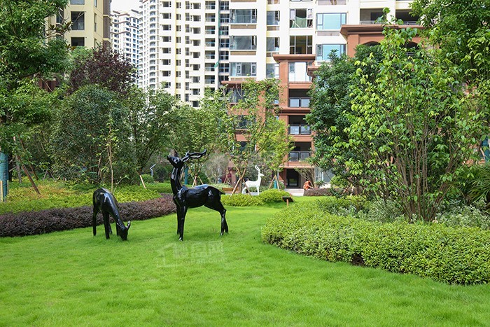 南充信智城怎么样值得买吗南充信智城最新消息