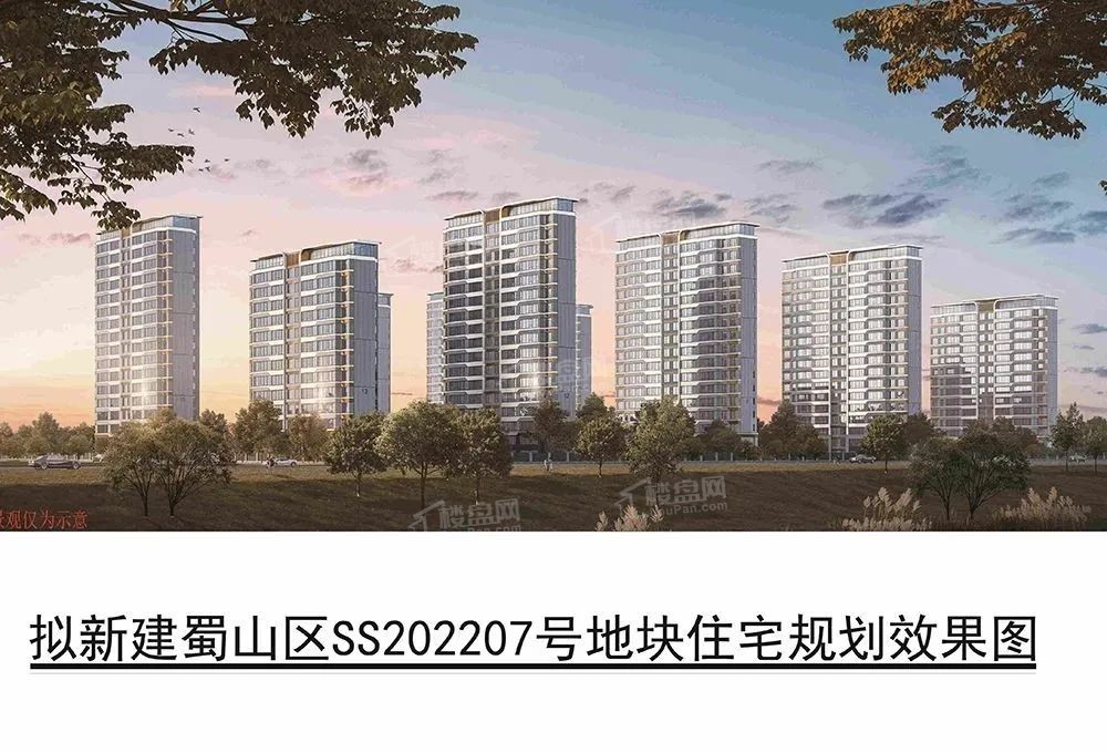 蜀山区纯新盘新华星耀江河规划公示：拟建13栋住宅-合肥楼盘网