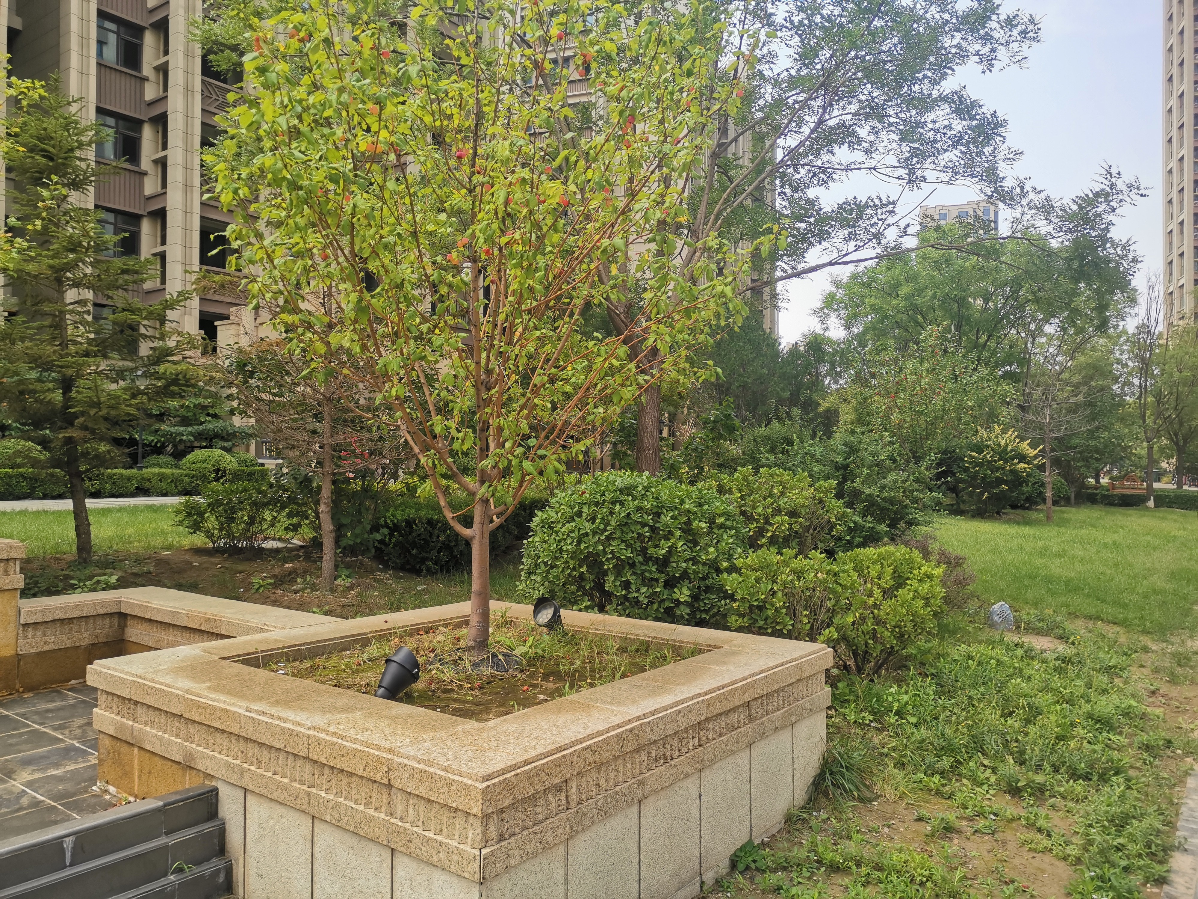 涿州千喜鹤是商住公寓吗 拿地时间是什么时候-涿州楼盘网