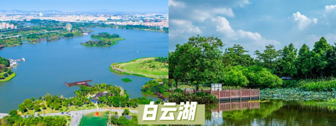 白云湖实景图.png