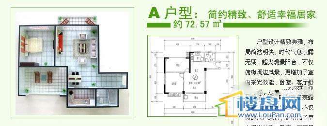 万泉兰庭（华盛家苑）户型图