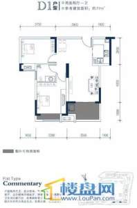 恒生碧水龙庭D1户型图