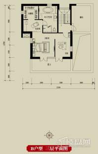 别墅b2户型