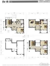 别墅5号楼01户型