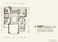 泰地洄龙湖邸户型图