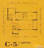 C-5户型图