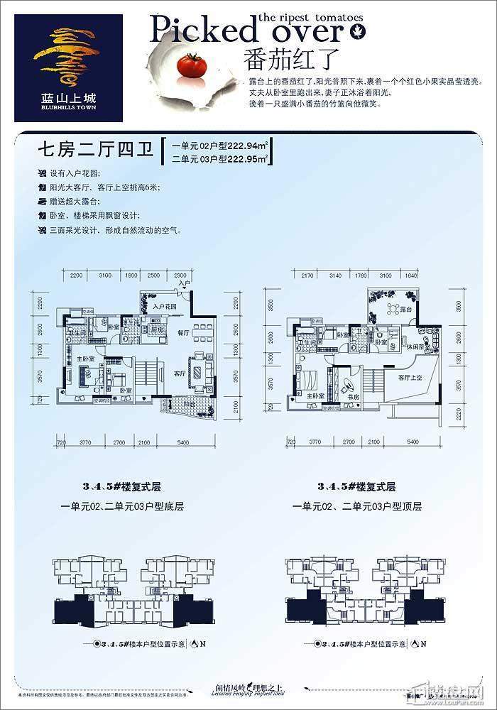 蓝山上城户型图