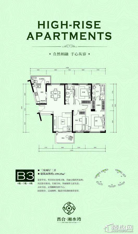 户型图 4、5、6栋