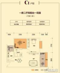 C1户型 一室二厅双阳台一花园 