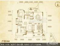 黄金时代.西街户型图