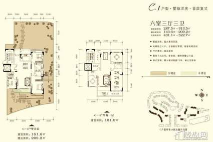 C-1户型图 六室三厅三卫