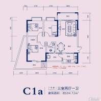 C1A