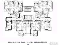 东西沽现房户型图