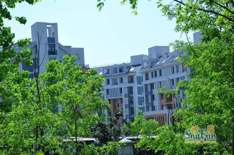 大学城博雅居二期1期实景图