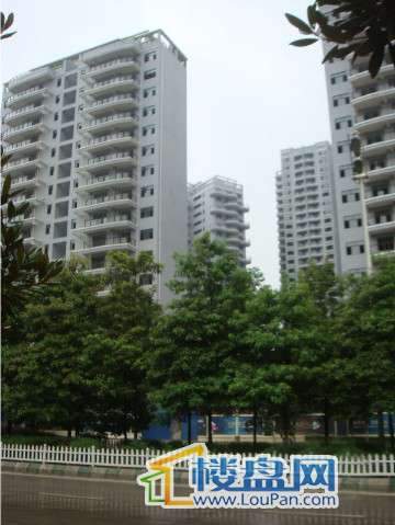 华颐蓝天东南面工程进度（2010.8 