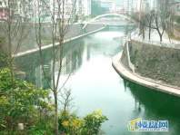 翠堤丽苑二期向西约20米的湘江河