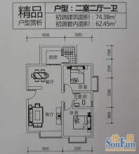 金叶绿洲1