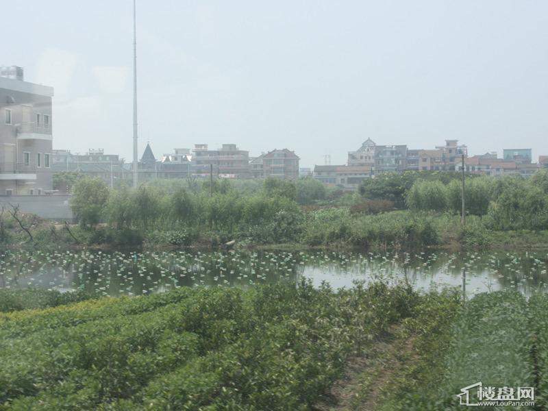 众安景海湾